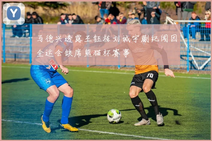 马德兴透露王钰栋刘诚宇蒯纪闻因全运会缺席熊猫杯赛事