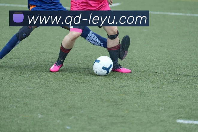 乐鱼体育发展历程